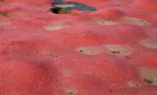 REKONSTRUKCE PLOCHÉ STŘECHY RODINNÉ VILY