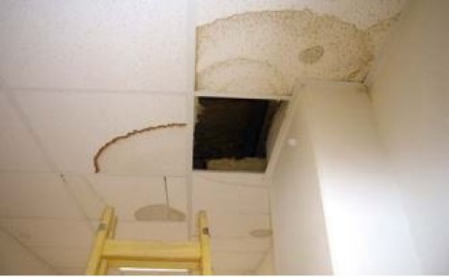 Tři případy střech se zabudovaným dřevem v konstrukci ohroženým zvýšenou vlhkostí v důsledku nevhodného vlhkostního režimu