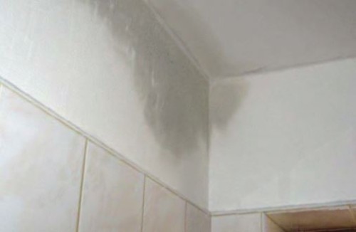 RUBRIKA ZNALCI: PORUCHY NA BUDOVÁCH SPORTOVNÍHO AREÁLU